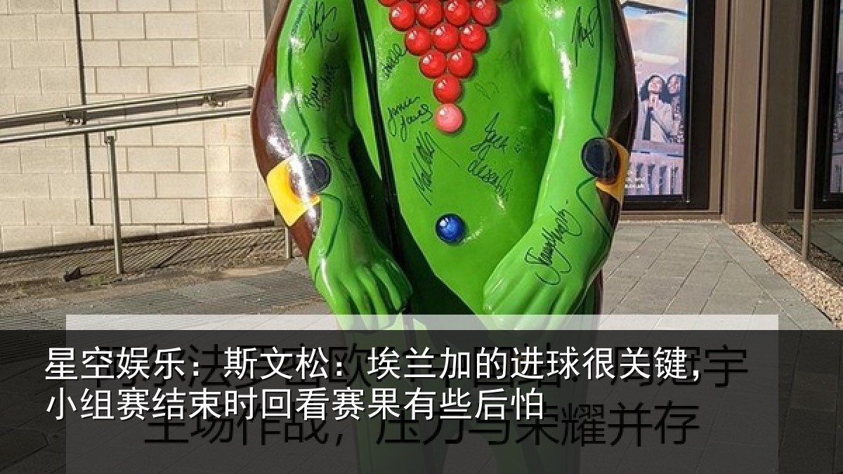 星空娱乐:斯文松:埃兰加的进球很关键,小组赛结束时回看赛果有些后怕