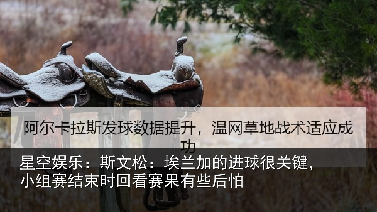 星空娱乐:斯文松:埃兰加的进球很关键,小组赛结束时回看赛果有些后怕